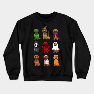 Dachshunds Halloween Funny Dachshunds Costume Crewneck Sweatshirt